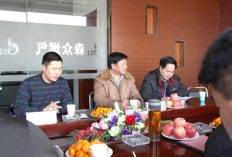 林口县政府与emc易倍官网-emc易倍(中国)一站式服务官网燃气项目洽谈.png